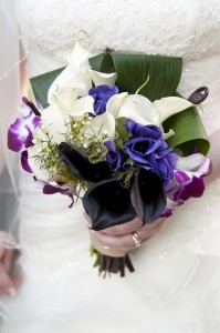 orchid