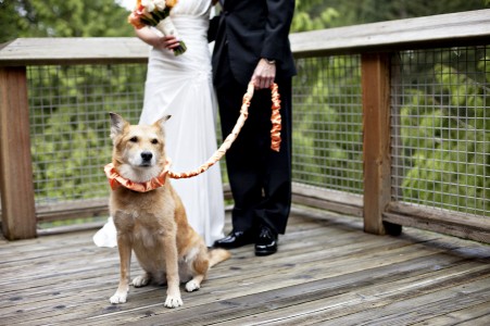Bride & Groom with Mulan