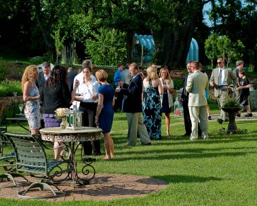 guests mingling