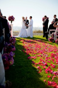 rose petals
