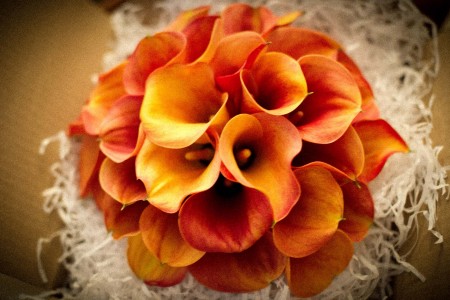 Bouquet