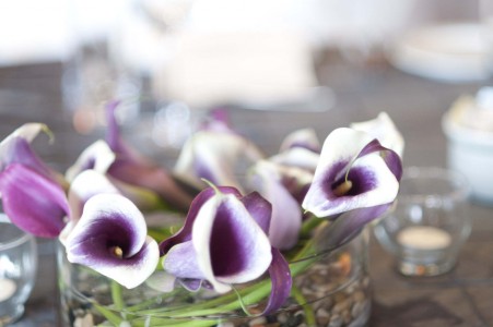 calla lilies