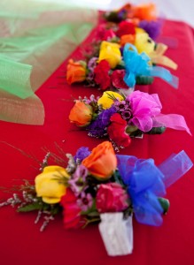 multi-colored flowers