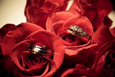 red, roses